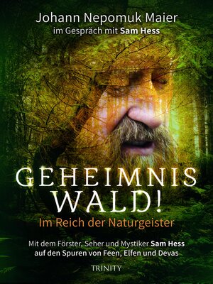cover image of Geheimnis Wald!--Im Reich der Naturgeister